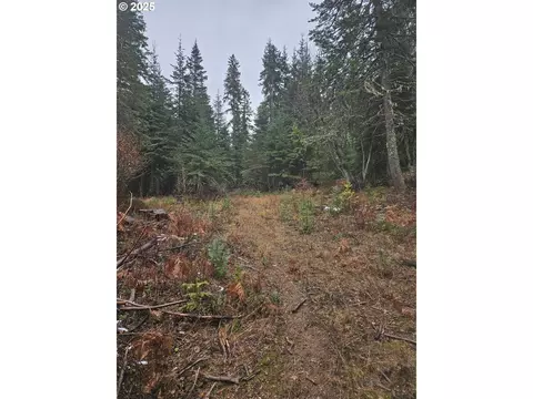 78654 Basket Mountain Rd, Weston, OR 97886