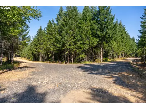hawk meadows rd, Carson, WA 98610 photo 27