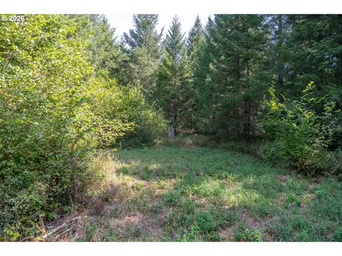 hawk meadows rd, Carson, WA 98610 photo 5