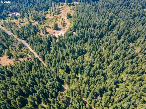 hawk meadows rd, Carson, WA 98610 photo 14