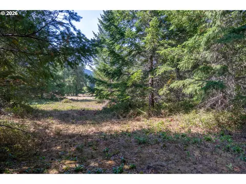 hawk meadows rd, Carson, WA 98610 photo 4