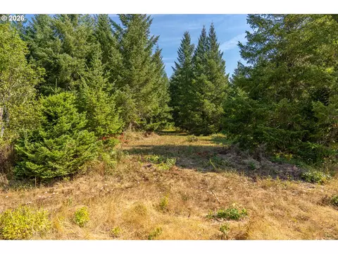 hawk meadows rd, Carson, WA 98610 photo 2