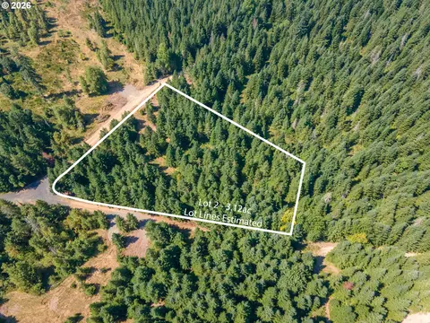 hawk meadows rd, Carson, WA 98610 photo 15