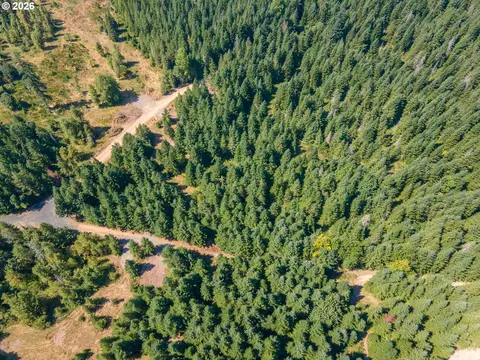 hawk meadows rd, Carson, WA 98610 photo 17