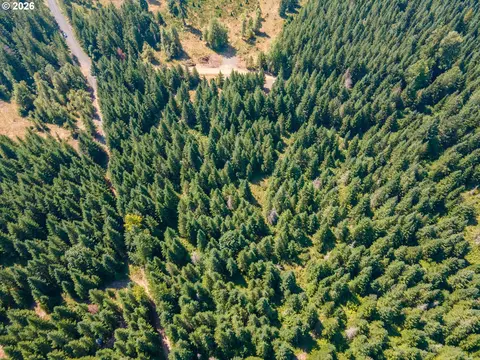 hawk meadows rd, Carson, WA 98610 photo 18