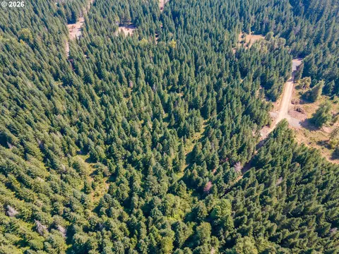 hawk meadows rd, Carson, WA 98610 photo 20