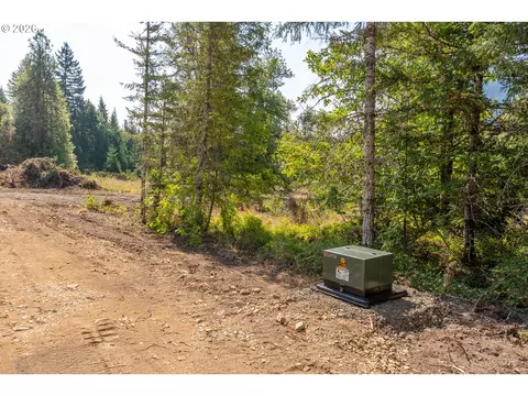 hawk meadows rd, Carson, WA 98610 photo 7