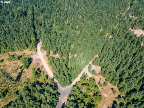 hawk meadows rd, Carson, WA 98610 photo 13