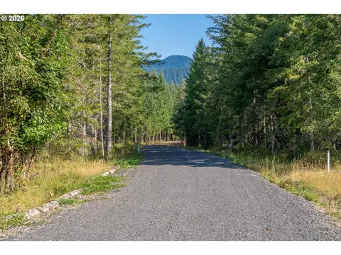 hawk meadows rd, Carson, WA 98610 photo 22