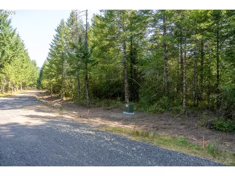 hawk meadows rd, Carson, WA 98610 photo 24
