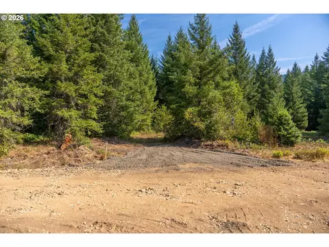 hawk meadows rd, Carson, WA 98610 photo 6