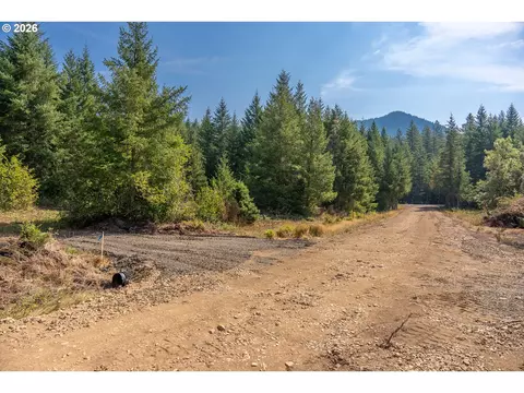 hawk meadows rd, Carson, WA 98610 photo 8