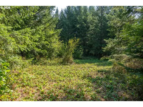 hawk meadows rd, Carson, WA 98610 photo 3