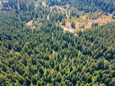 hawk meadows rd, Carson, WA 98610 photo 19