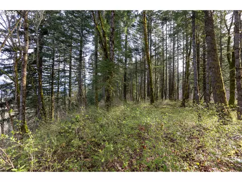 Dry Creek Rd, Cascade Locks, OR 97014 photo 13