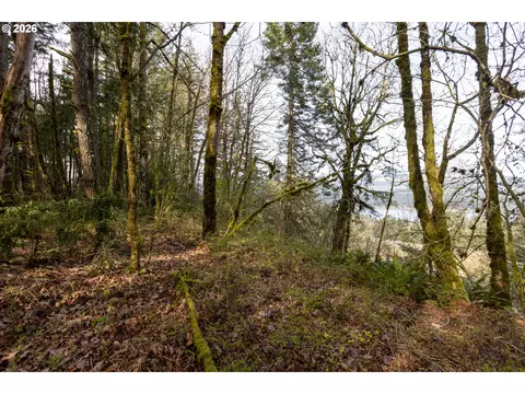 Dry Creek Rd, Cascade Locks, OR 97014 photo 14