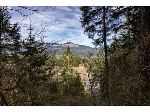 Dry Creek Rd, Cascade Locks, OR 97014 photo 15