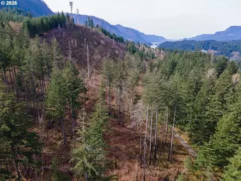 Dry Creek Rd, Cascade Locks, OR 97014 photo 10