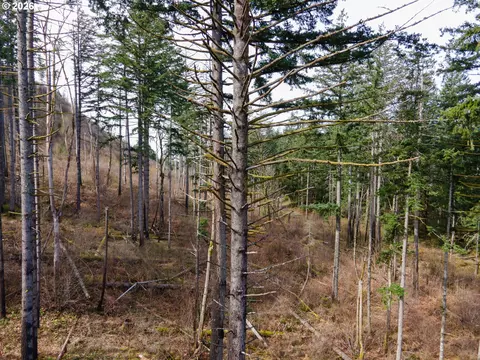 Dry Creek Rd, Cascade Locks, OR 97014 photo 12