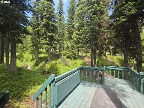 44319 Silver Crk Rd, Sumpter, OR 97877 photo 19