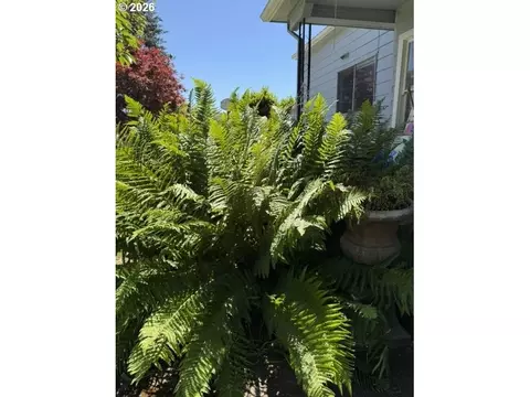 Exterior - 507 S 11th Ave, Cornelius, OR 97113 photo 3 of 15