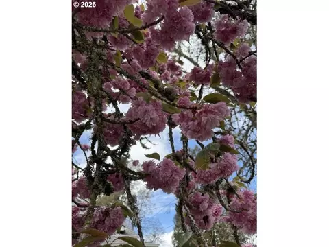 Other - 507 S 11th Ave, Cornelius, OR 97113 photo 3 of 19