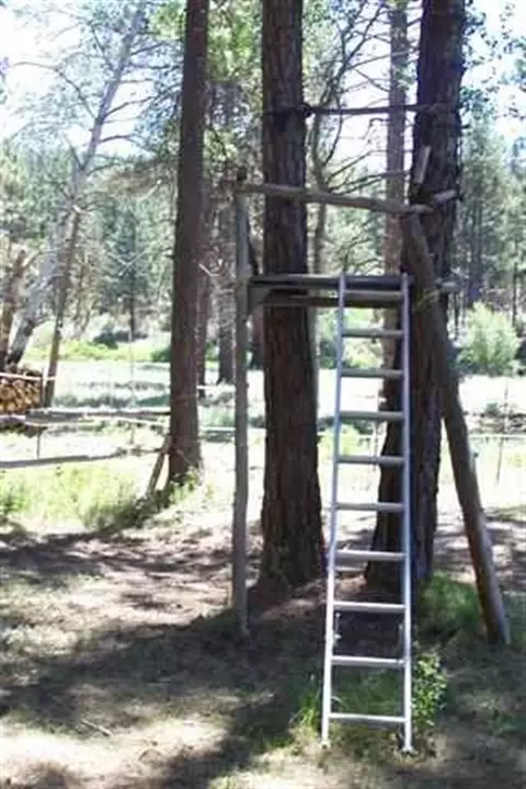 3210 Sprague Riv, Chiloquin, OR 97624 photo 18