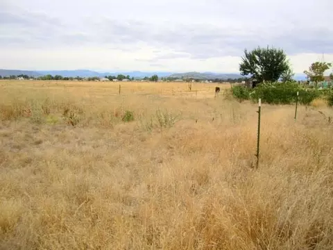 501 Bigham Brown Rd, Eagle Point, OR 97524 photo 11