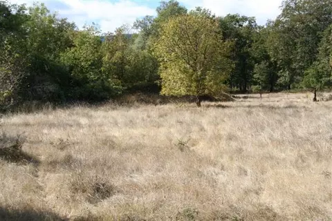 2609 Cedar Flat Rd, Williams, OR 97544 photo 1