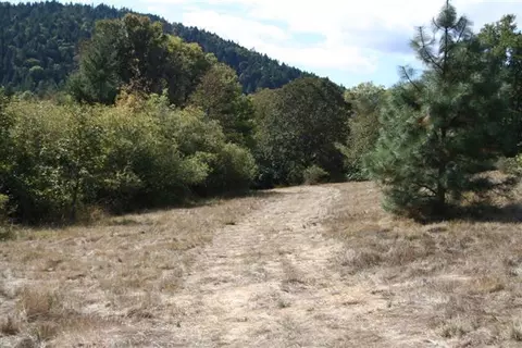 2609 Cedar Flat Rd, Williams, OR 97544 photo 5