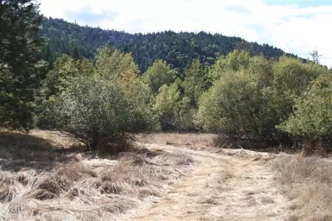 2609 Cedar Flat Rd, Williams, OR 97544 photo 7