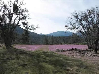 10699 E Antelope Rd, Eagle Point, OR 97524 photo 4
