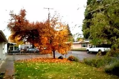 735 S Fifth St, Central Point, OR 97502 photo 2