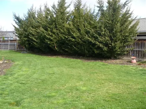 254 Tracy Ave, Eagle Point, OR 97524 photo 9