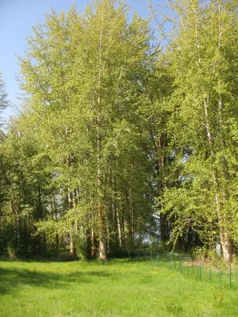 35880 Modoc Point Rd, Chiloquin, OR 97624 photo 6