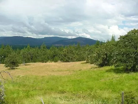 2300 Obenchain Rd, Butte Falls, OR 97522 photo 2