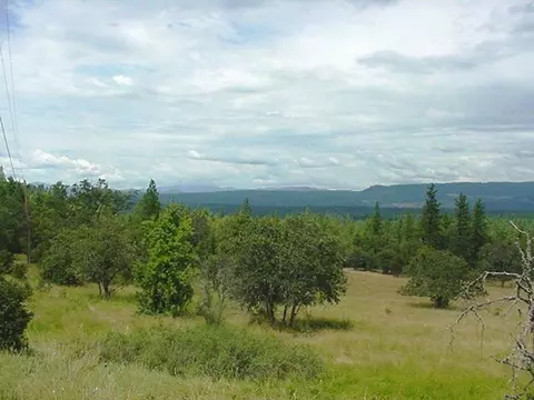 2300 Obenchain Rd, Butte Falls, OR 97522 photo 18