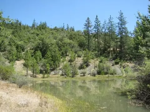 3200 Worthington Rd, Eagle Point, OR 97524 photo 3