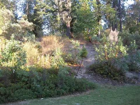 4352 Evans Rd, Rogue River, OR 97537 photo 3