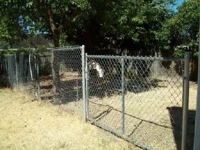 512 Orchard Pl, Phoenix, OR 97535 photo 13