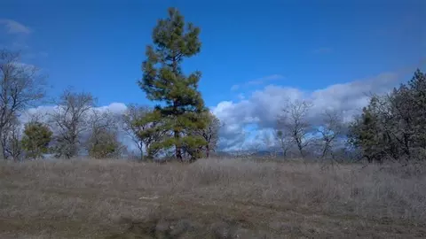 860 Linn Rd, Eagle Point, OR 97524 photo 7