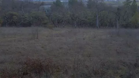 860 Linn Rd, Eagle Point, OR 97524 photo 10