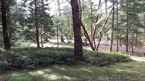 369 Ruby Dr, Grants Pass, OR 97527 photo 3