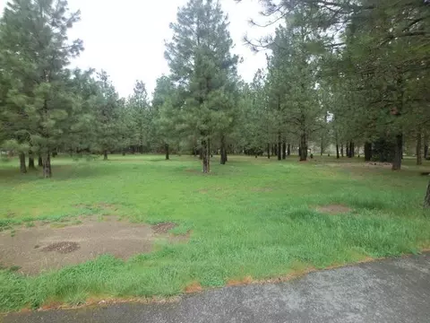 305 Queens Branch Rd, Rogue River, OR 97537 photo 25