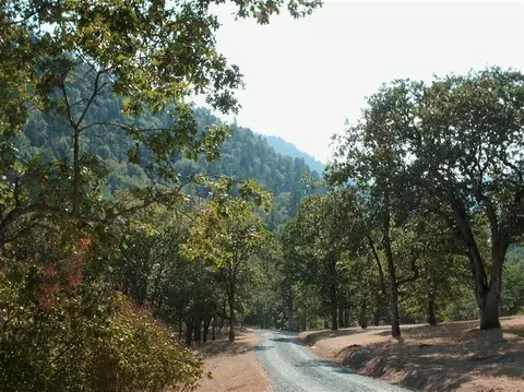 15005 Evans Creek Rd, Rogue River, OR 97537 photo 2