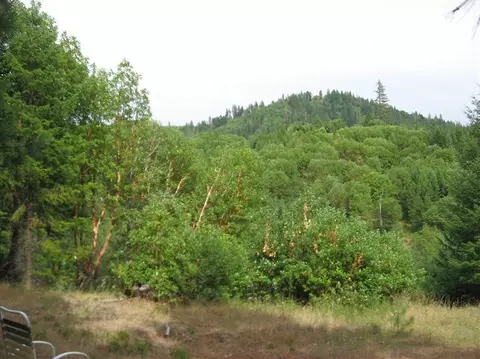 13691 Evans Creek Rd, Rogue River, OR 97537 photo 5