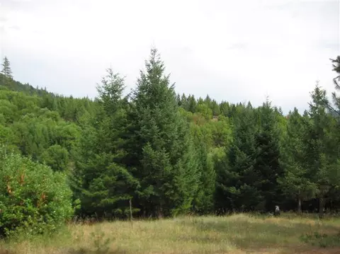 13691 Evans Creek Rd, Rogue River, OR 97537 photo 6