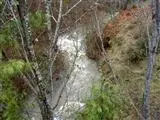 13691 Evans Creek Rd, Rogue River, OR 97537 photo 1
