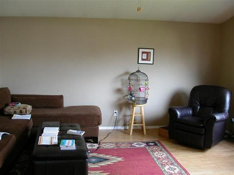 504 Orchard Pl, Phoenix, OR 97535 photo 4