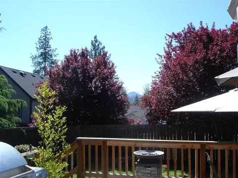 640 Cedar Wood Dr, Eagle Point, OR 97524 photo 4